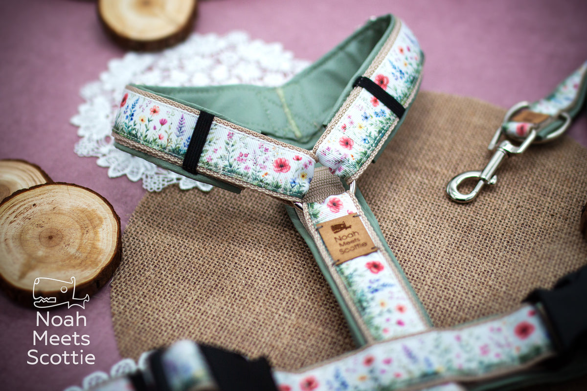 Hundegeschirr WILDFLOWER WHIMSY zusammen mit der passenden Hundeleine im gleichen bunten Wildblumendesign.
