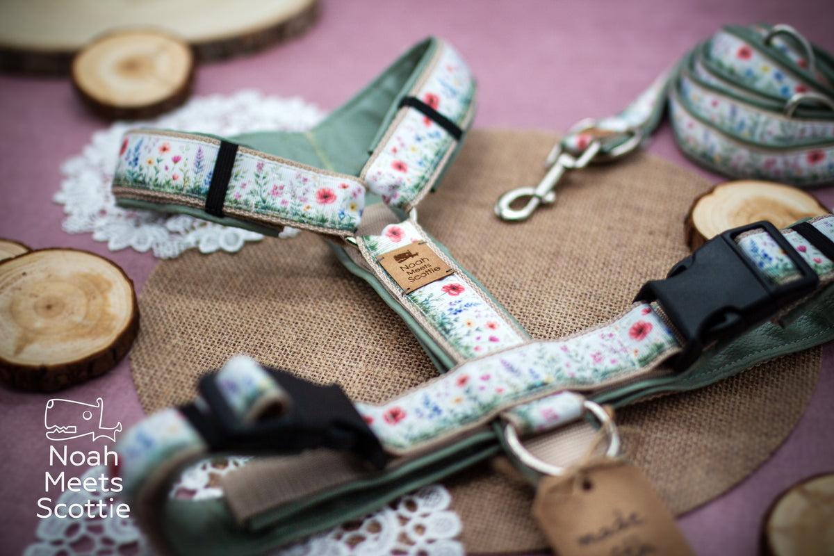 Handgefertigtes Hundegeschirr WILDFLOWER WHIMSY mit buntem Wildblumenmuster auf hellem Gurtband und salbeigrüner Polsterung.