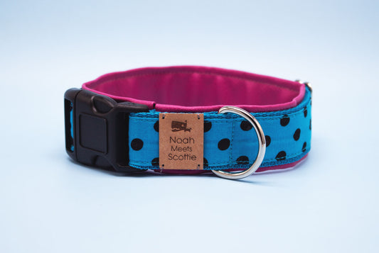 Hundehalsband BLUE im Polka-Dot-Design, türkis und pink, gepolstert