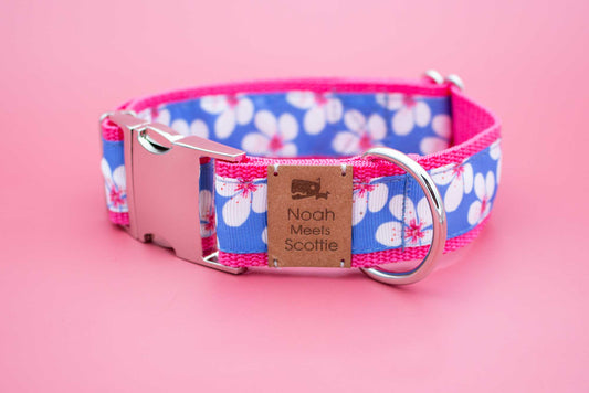 Hundehalsband BLÜTENBRISE mit Blumenmuster in Pink, Blau und Weiß, sommerlich verspielt