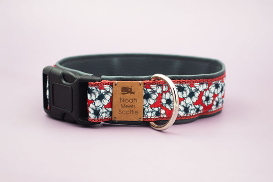 Gepolstertes Hundehalsband Claire, verstellbar, Blumenmuster in Schwarz und Rot mit dunkelgrauem Kunstleder – Vorderansicht
