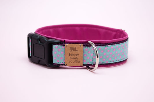 Hundehalsband CLEA – lila Stoff mit pinken Punkten und mintfarbenem Gurtband