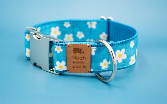 Hundehalsband DAISYDREAM – Gänseblümchen Motiv in Türkis und Weiß, sommerlich, verspielt, robust, verstellbar