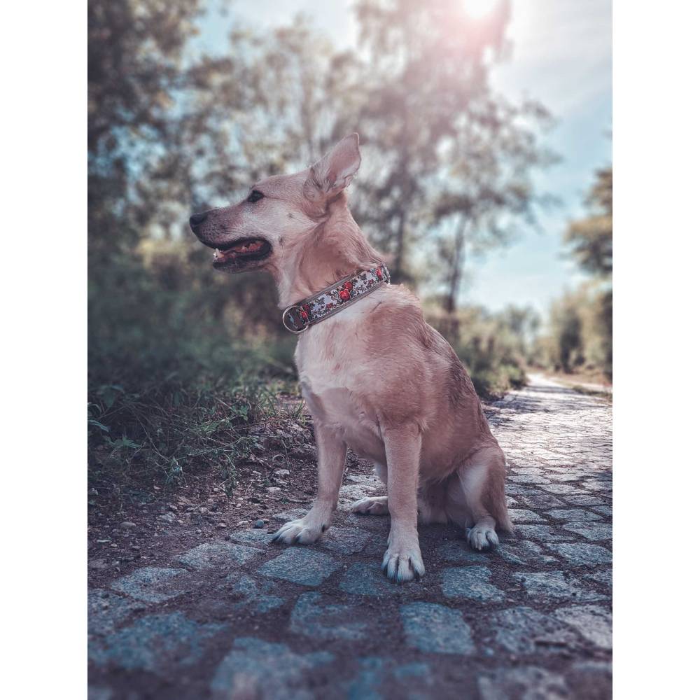 Philipp trägt das Hundehalsband DARLING ROSE mit Rosenmuster in Rot und Olivgrün – Frontansicht im Grünen