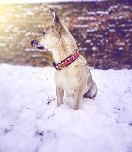 Hundehalsband DRIVING HOME FOR CHRISTMAS mit Auto, Tannenbaum und Lebkuchen – Weihnachtsdesign