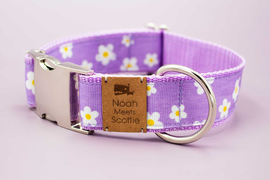 Hundehalsband FLIEDERZEIT – Gänseblümchen Motiv in Flieder und Weiß, romantisch, entspannt, robust, verstellbar