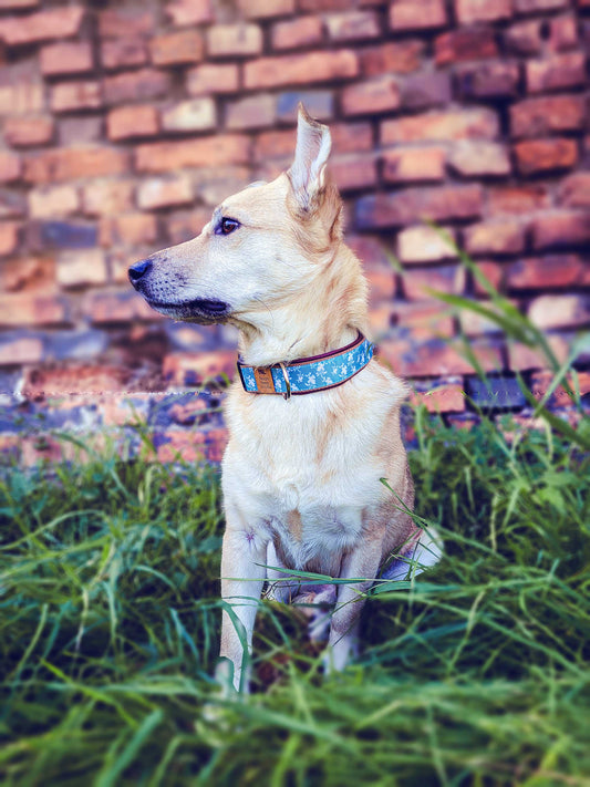 Philipp trägt das Hundehalsband HARLEY mit barockem Blumenranken-Muster in Türkis, Weiß und Bordeaux – Frontansicht