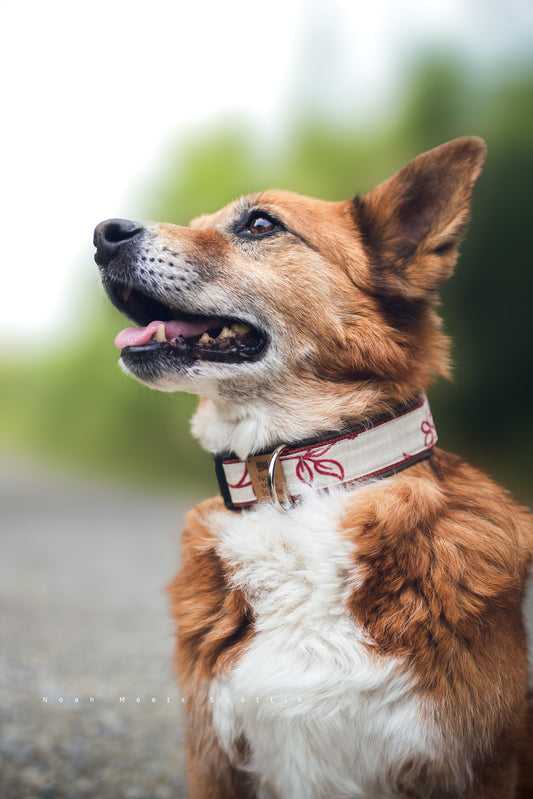 Detailansicht Hundehalsband HILDA im natürlichen Leinen-Design mit roten Ranken und grauer Fütterung