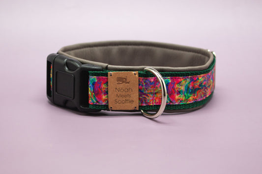 Vorderansicht Hundehalsband Jax mit Graffiti-Muster, bunten Farbspritzern und grauem Kunstleder