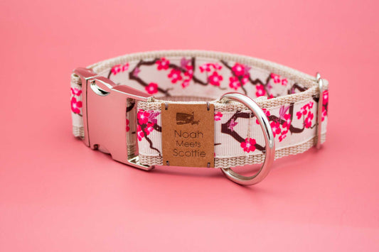 Hundehalsband KIRSCHWIND – romantisches Kirschblütenmuster in Beige und Rosa, verspielt, robust, verstellbar