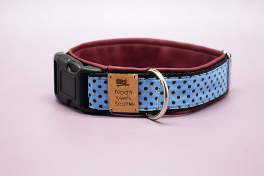 Hundehalsband LEVI in Hellblau mit schwarzen Punkten und roter Fütterung – Frontansicht