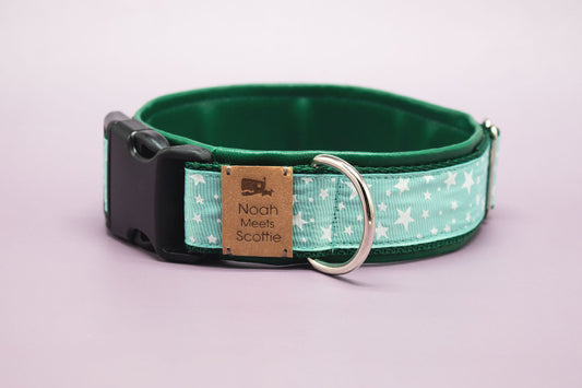 Hundehalsband MINTY in Mint mit weißen Sternen und dunkelgrüner Fütterung – Frontansicht