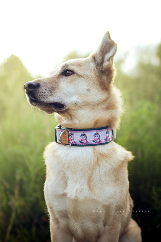 Hundehalsband NOLA mit buntem Einhorn-Kaugummi-Design – getragen von Philipp
