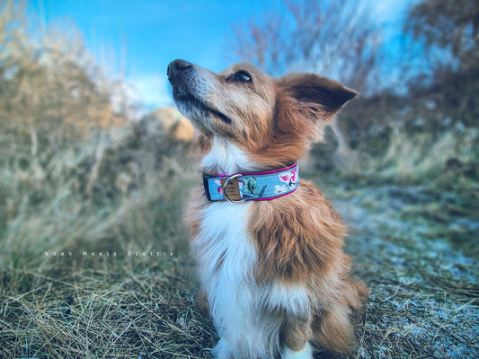 Hundehalsband ONALI im Hawaii-Stil mit Blumenmuster in Rauchblau, Beige und Rosa – getragen von Noah