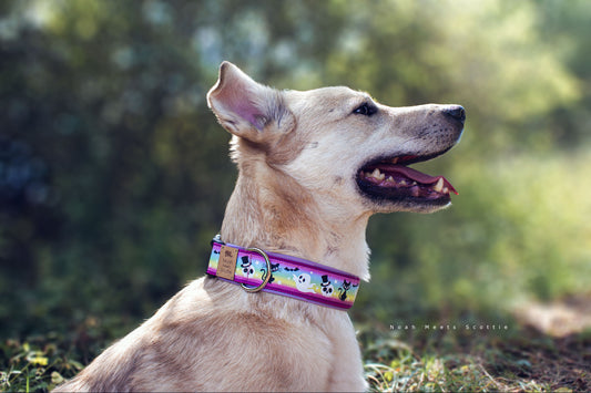 Hundehalsband OPHELIA – lila Comic-Design mit Geistern, Katze und Fledermäusen