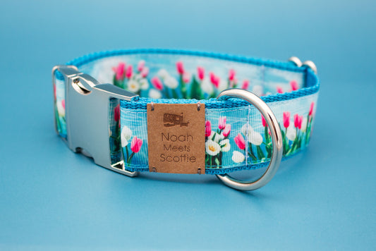 Hundehalsband mit türkisfarbenem Gurtband und buntem Tulpenmuster, verstellbar