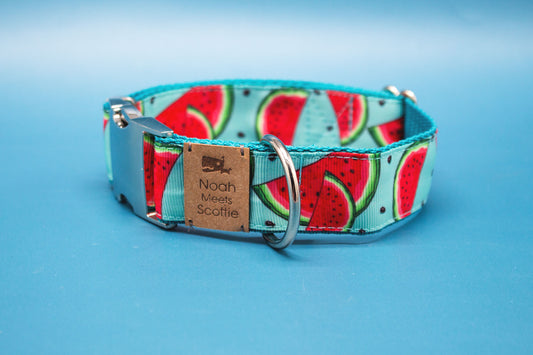 Hundehalsband mit Wassermelonen-Muster auf türkisfarbenem Hintergrund, verspielt