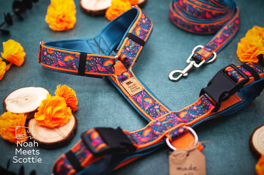 Hundegeschirr Iris im Folklore-Stil mit bunten Vögeln, floralen Ornamenten, orangefarbenem Gurtband und petrolfarbener Kunstlederpolsterung.