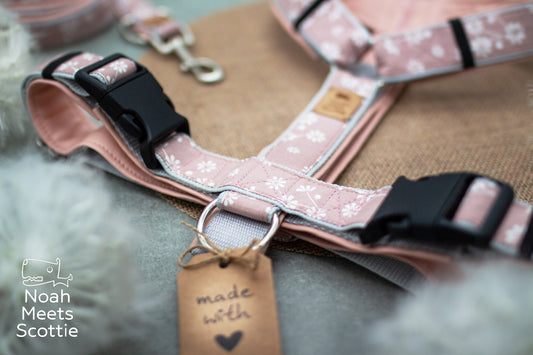 Hundegeschirr Nelle in Rosa mit weißen Gänseblümchen, altrosa Gurtband und rosafarbener Kunstlederpolsterung.