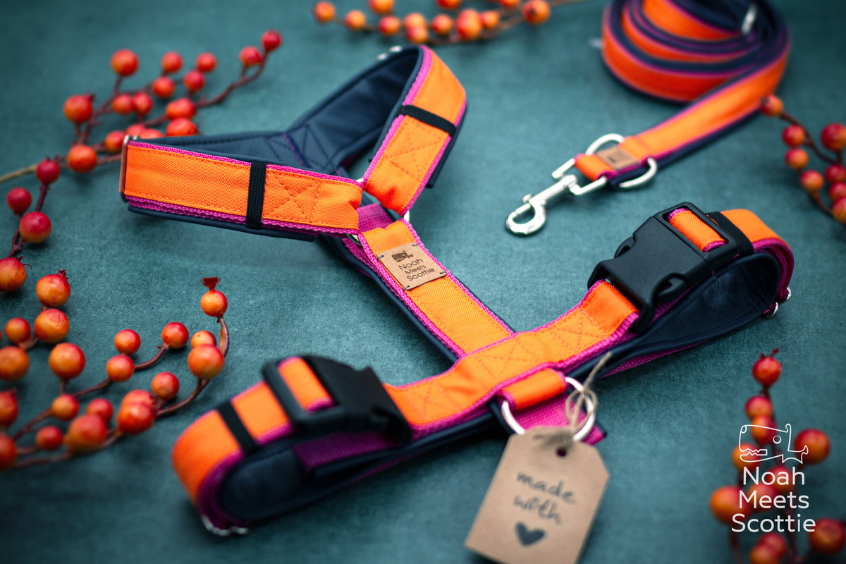 Hundegeschirr SUNDOWN in kräftigem Orange und Pink mit dunkelblauer Innenseite und silberfarbenen Metallringen.