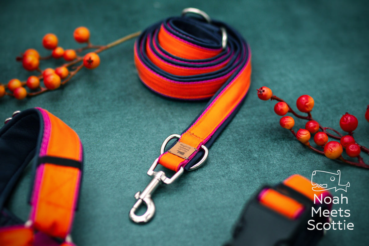 Detailansicht des orangefarbenen Hundegeschirrs SUNDOWN mit pinkfarbener Einfassung und dunkelblauer Innenseite.