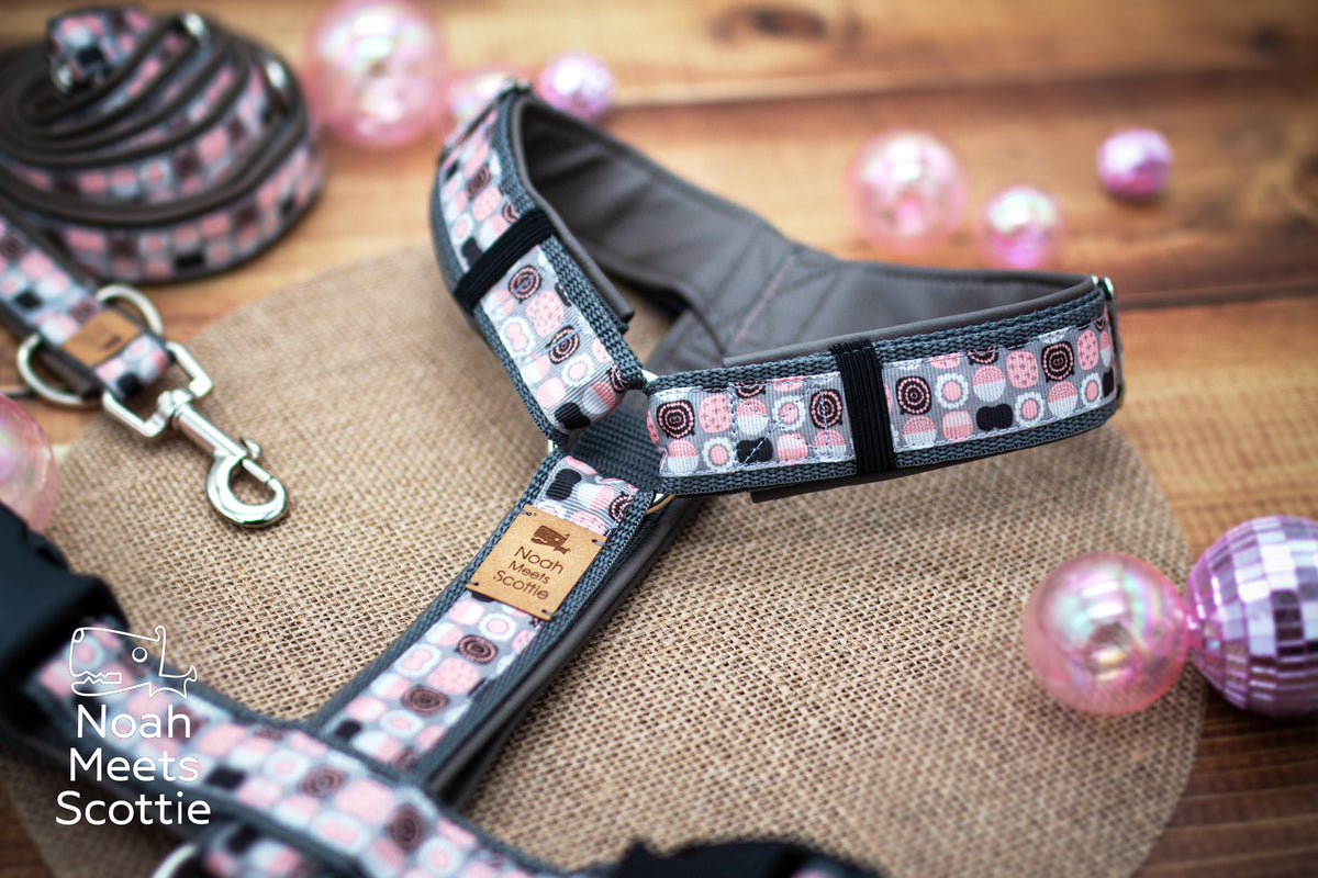 Rosa-graues Hundegeschirr mit geometrischem Kreismuster und anthrazitfarbenem Gurtband.