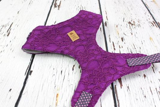 Softgeschirr für Hunde Amethyst Lace in violett mit Spitzenstoff, weich gefüttert