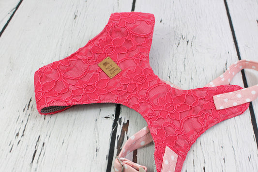 Softgeschirr für Hunde Coral Lace in Koralle mit Spitzenstoff und rosa gepunkteten Riemen