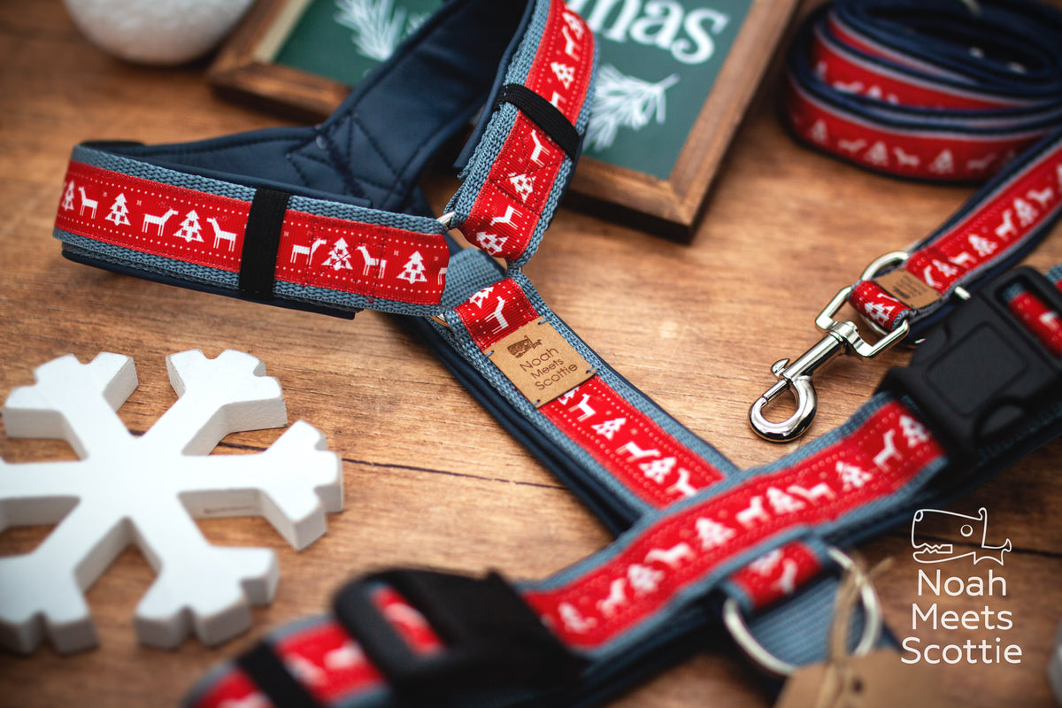 Rotes Weihnachts-Hundegeschirr mit Rentiermotiv, weißen Tannen und hellblauen Details in nordischer Strickmuster-Optik.