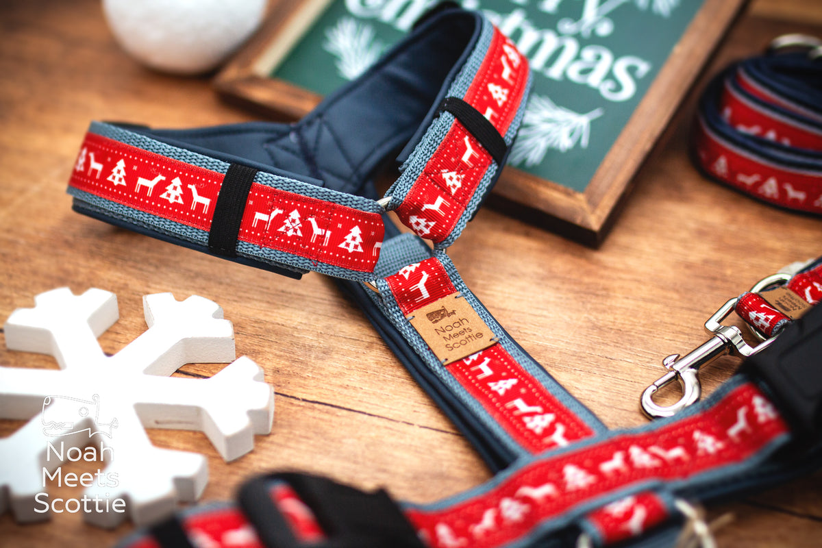 Nahaufnahme des roten Hundegeschirrs mit weißen Rentieren, Tannen und geometrischen Elementen wie auf einem nordischen Weihnachtspullover.